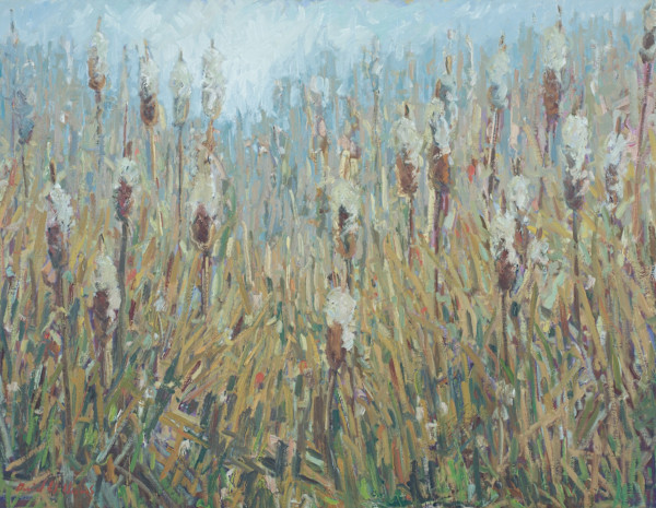 Winter Rush (Cattails) by David  A. Williams, Image 1.