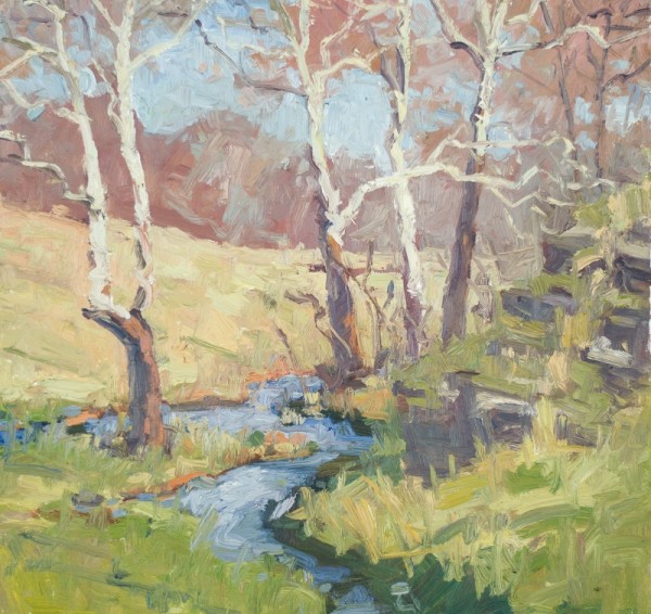 Spout Run Sycamore by David  A. Williams, Image 1.