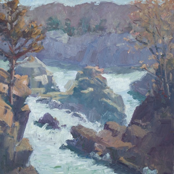 Great Falls "Mather Gorge" by David Williams