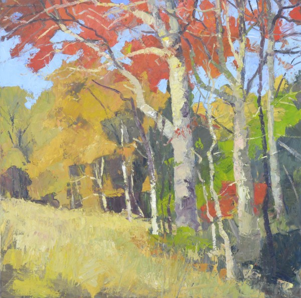 Autumn Piedmont by David  A. Williams, Image 1.