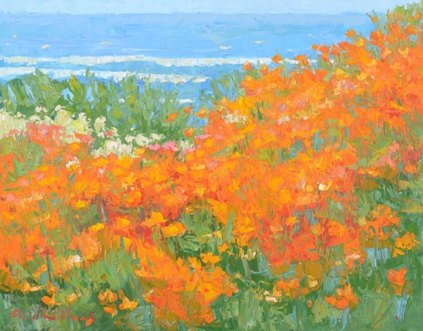 Seaside Poppy by David  A. Williams, Image 1.