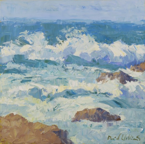 Surf by David  A. Williams, Image 1.