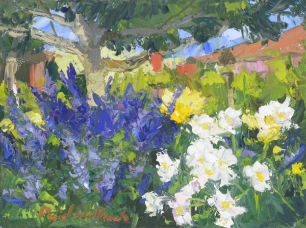 Salvia Blue and White by David  A. Williams, Image 1.