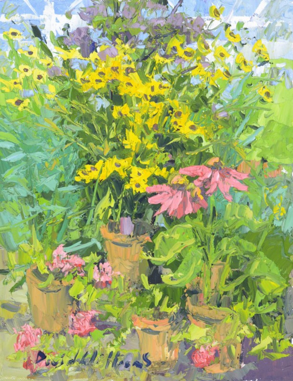 Coreopsis and Coneflower by David  A. Williams, Image 1.
