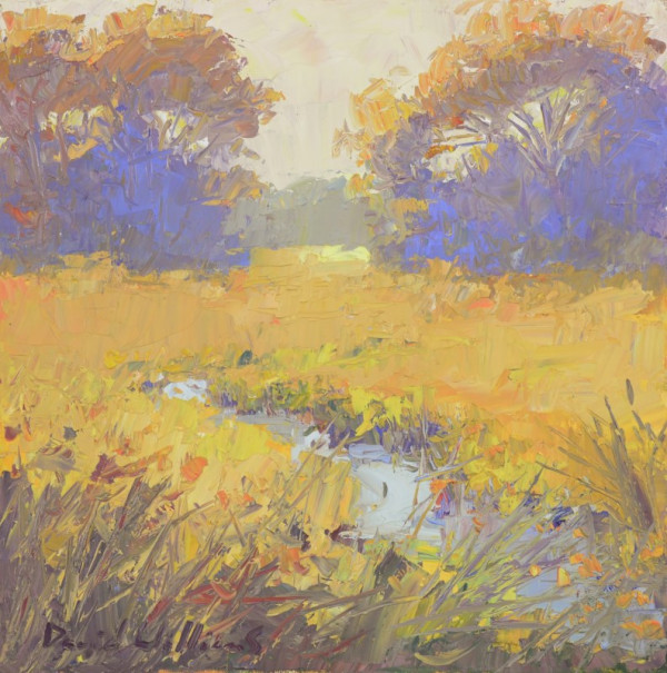 Autumn Marsh by David  A. Williams, Image 1.