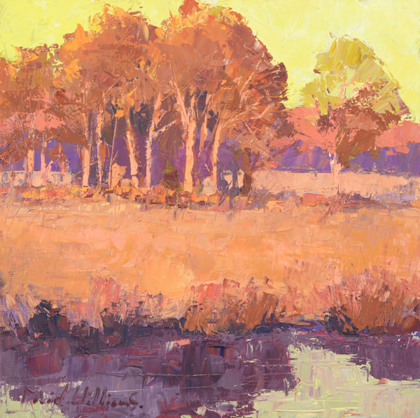 Autumn Light by David  A. Williams, Image 1.