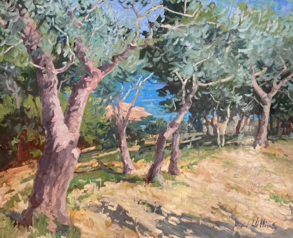 Olive Trees of La Ciotat by David Williams