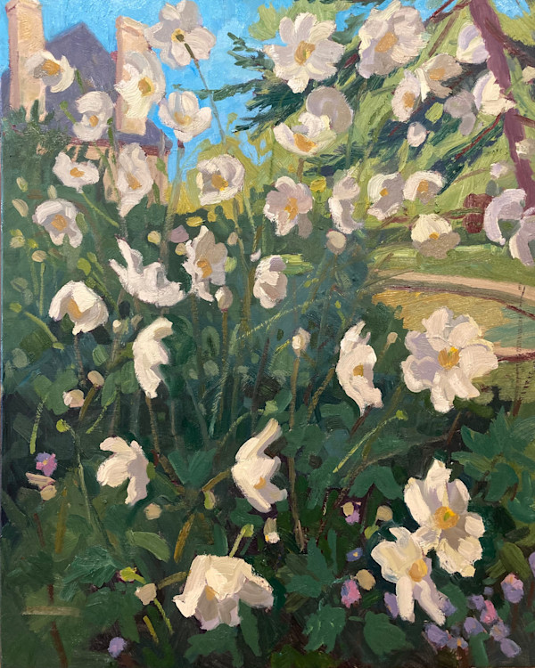 Anémone du Japon by David  A. Williams, Image 1.