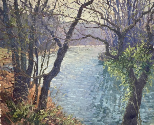 Early Signs of Spring by David  A. Williams