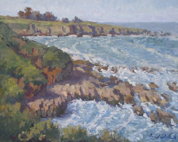 Celia's Reach by David  A. Williams, Image 1.