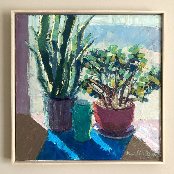 Succulents and Sunlight by David Williams