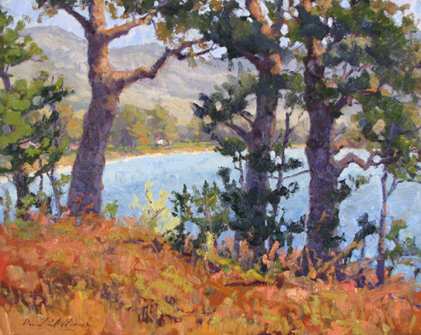 View Through Cambria Pine by David  A. Williams, Image 1.