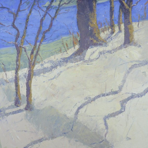 Snow Shadows by David  A. Williams, Image 1.