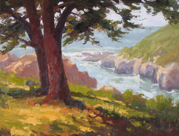 Isley Ridge Cypress (Costa Azul) by David  A. Williams, Image 1.
