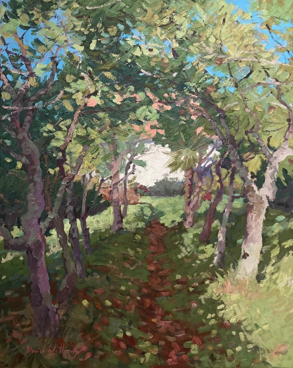 The Orchard by David Williams