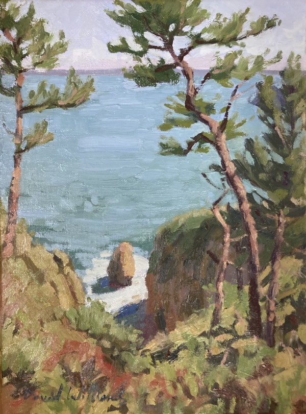 Baie de Douarnenez by David  A. Williams