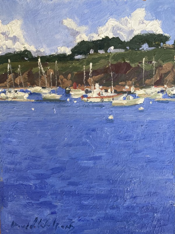 Camaret by David  A. Williams, Image 3.