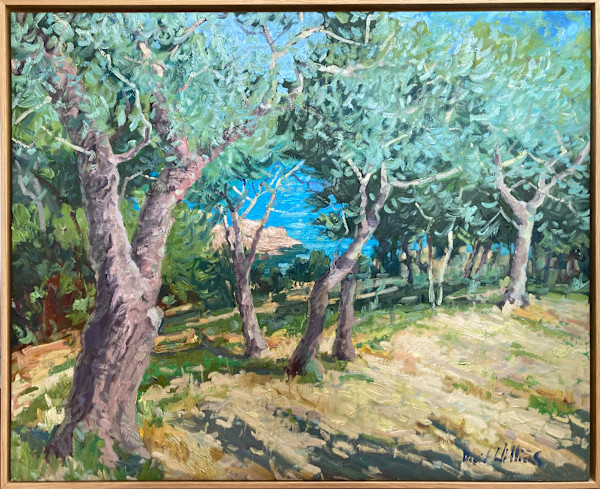 Olive Trees of La Ciotat by David  A. Williams