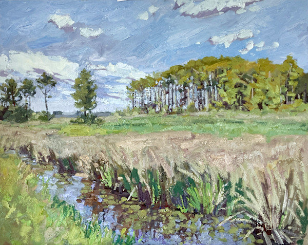 Mathews Marsh by David  Williams Paintings, Image 1.