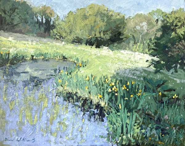 Summer Pond with Iris by David  Williams Paintings, Image 1.