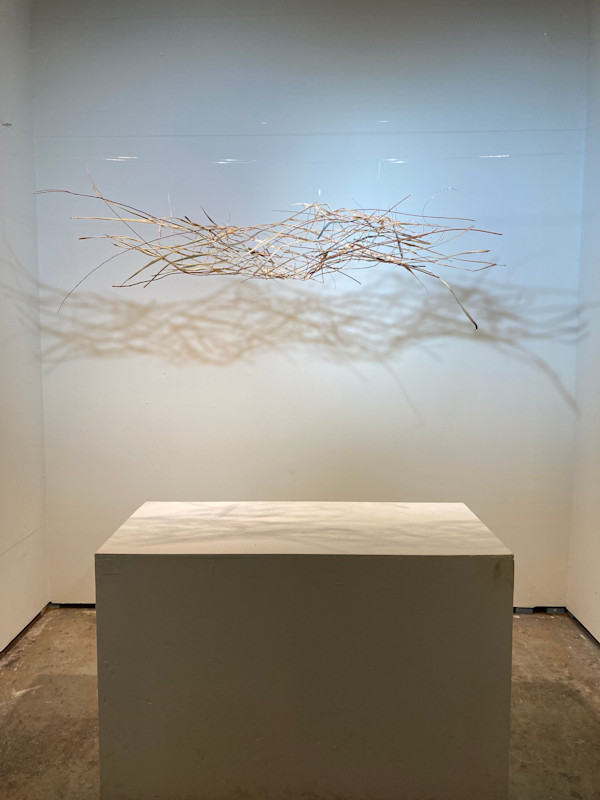 Uproot by Amber Coppings, Image 1.
