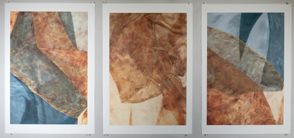 the marks the earth leaves on us by Amber Coppings, Image 1.