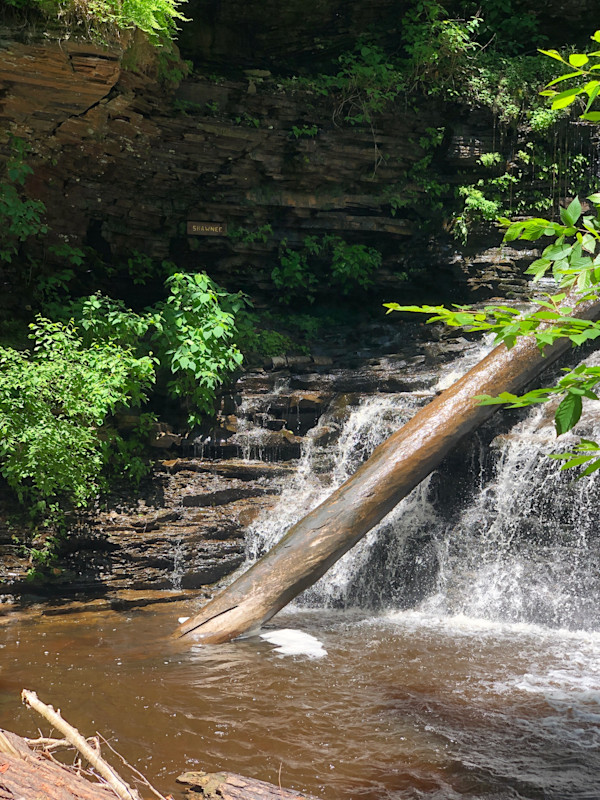 Don’t Go Chasing Waterfalls by Allison "Ally Bee" Findeiss-Becker