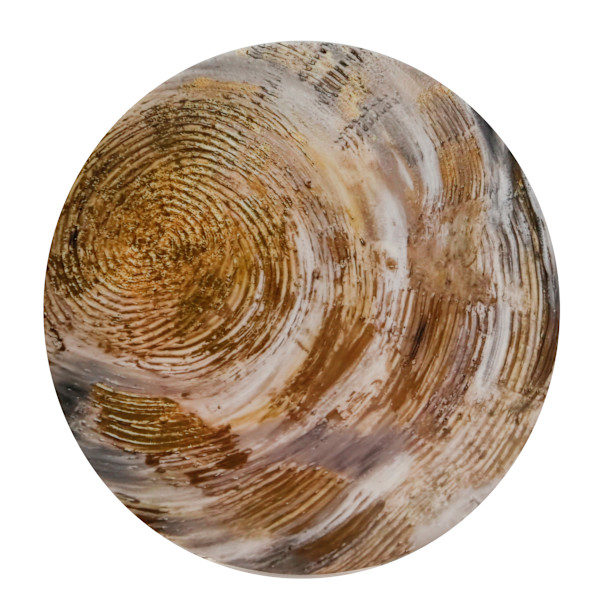 Golden Ray Plate by Allison "Ally Bee" Findeiss-Becker