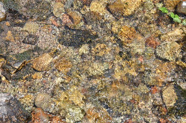 Rocky Mountain Ripples by Allison Findeiss-Becker (Ally Bee)