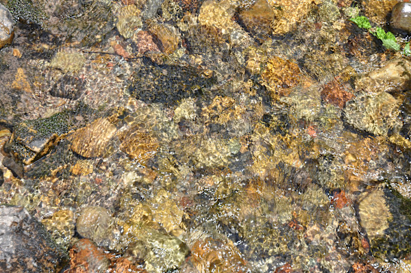 No man ever steps in the same river twice by Allison "Ally Bee" Findeiss-Becker