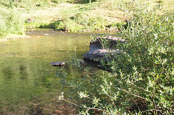 Rocky Mountain River Flows by Allison Findeiss-Becker (Ally Bee), Image 1.