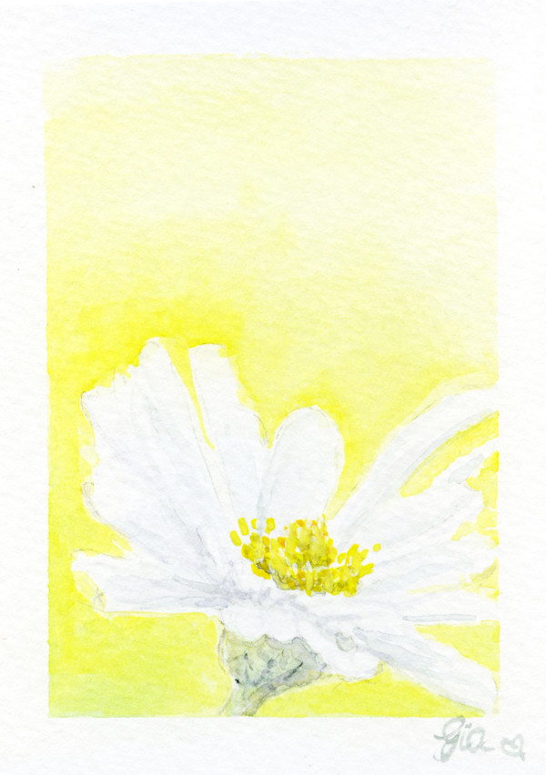 Chamomile by Gia Dianna, Image 1.