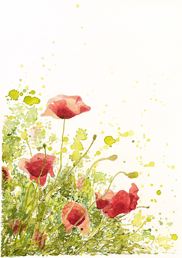Simple Beauty; Poppies by Gia Dianna
