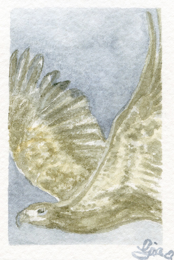 On Eagles Wings by Gia Dianna, Image 1.
