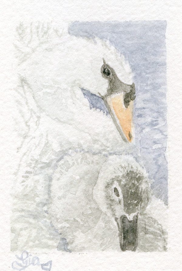 Pretty Swan by Gia Dianna, Image 1.