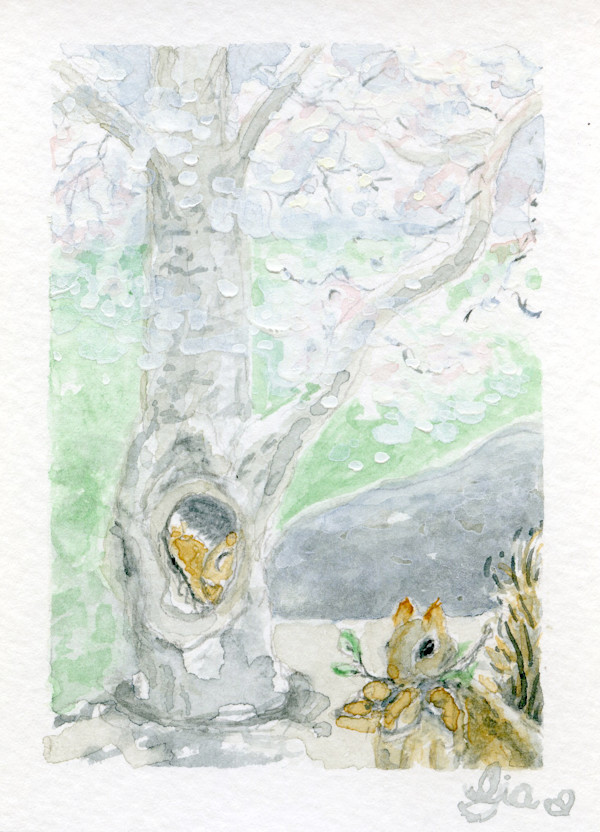 Squirrels Nest, Central Park by Gia Dianna, Image 1.