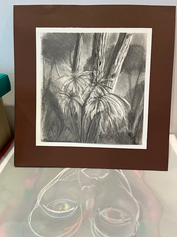 Bosque de Cariló by Ricardo Winitzky