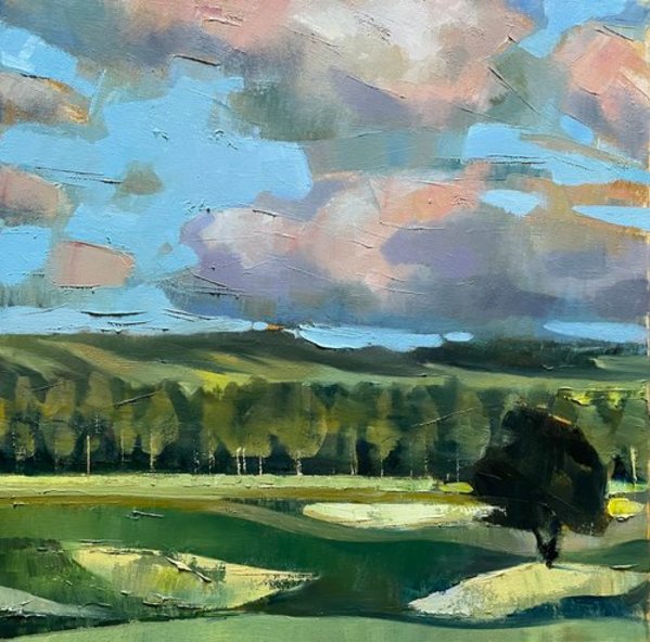 Afternoon Rounds by Karen Luke Fildes