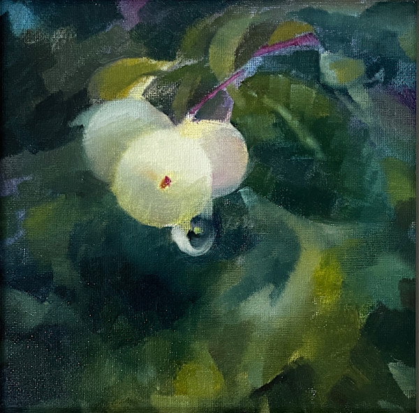 Snowberry Drop by Karen Luke Fildes