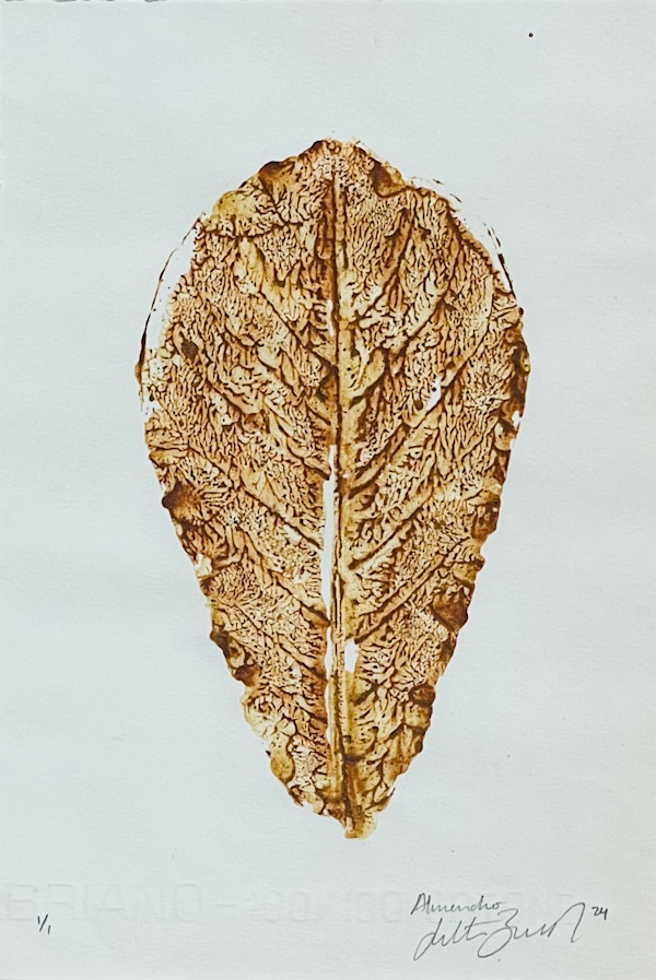 Almendro by Julieta Barrios, Image 1.