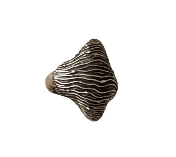 Anillo Akumal by Fabián Pelayo, Image 1.