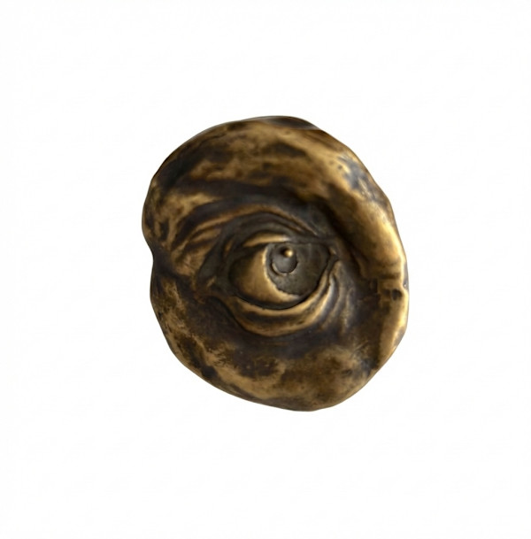 Anillo Ojo by Fabián Pelayo, Image 1.