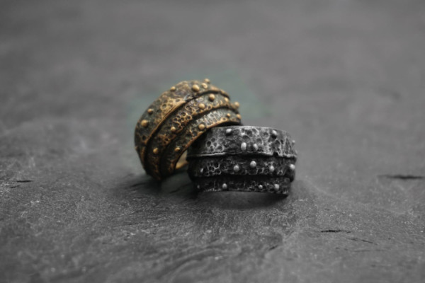 Anillo Armadillo by Fabián Pelayo, Image 1.