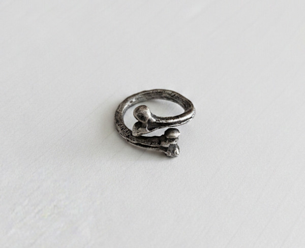 Anillo Humero by Fabián Pelayo, Image 1.
