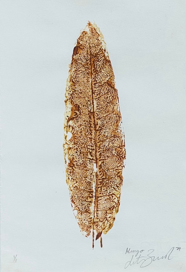 Mango by Julieta Barrios, Image 1.