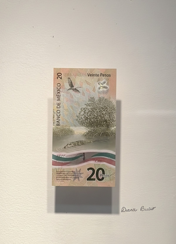 Moneda de cambio by Diana Bucio