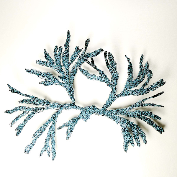 Sciná's Weed in Blue I by Anna Hutchinson