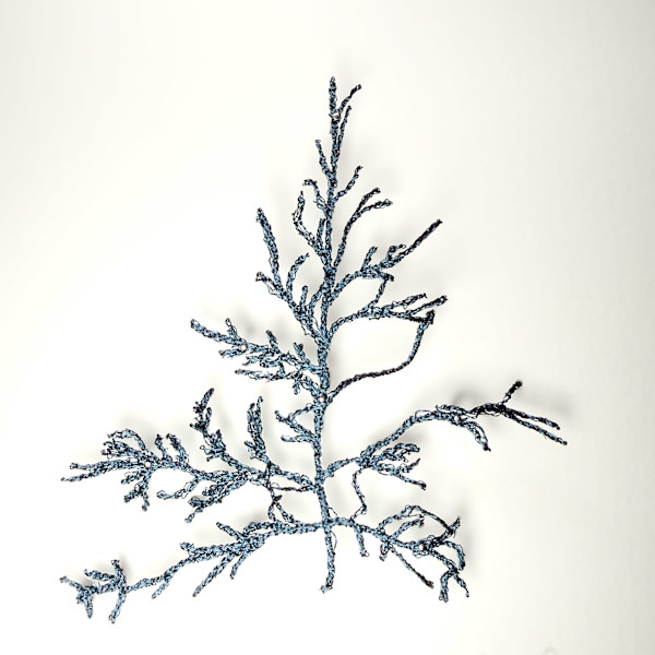 Siphoned Feather Weed in Blue I by Anna Hutchinson