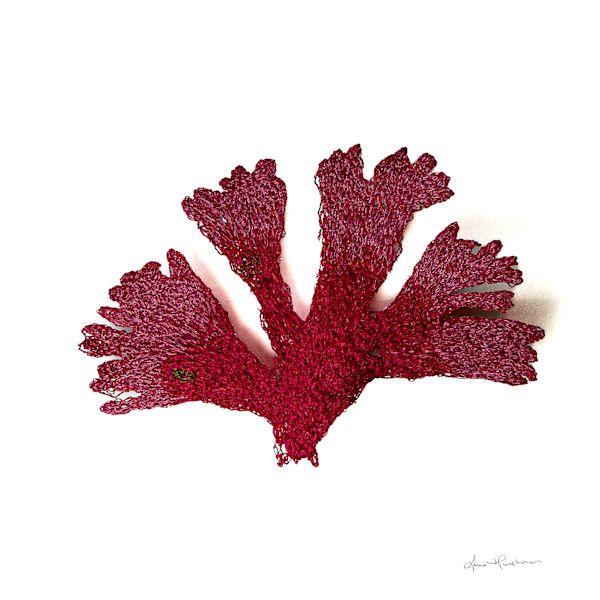 Beautiful Fan Weed I by Anna Hutchinson