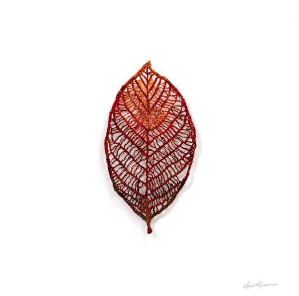 Alder Buckthorn Autumn Skeleton by Anna Hutchinson